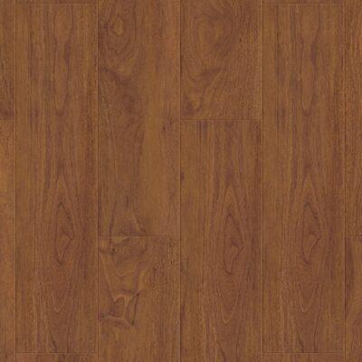 Creation 55 Brownie 0459