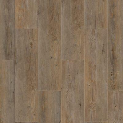 Creation 55 Buffalo 0457