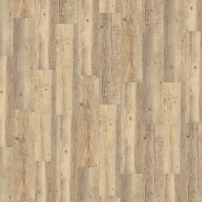 Creation 55 Long Board 0455