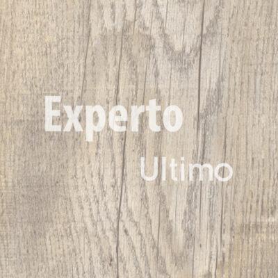 Experto Ultimo click Bear Oak 24921