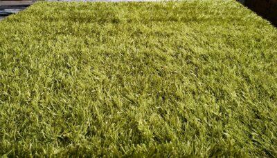 Shaggy Lilou green 93100