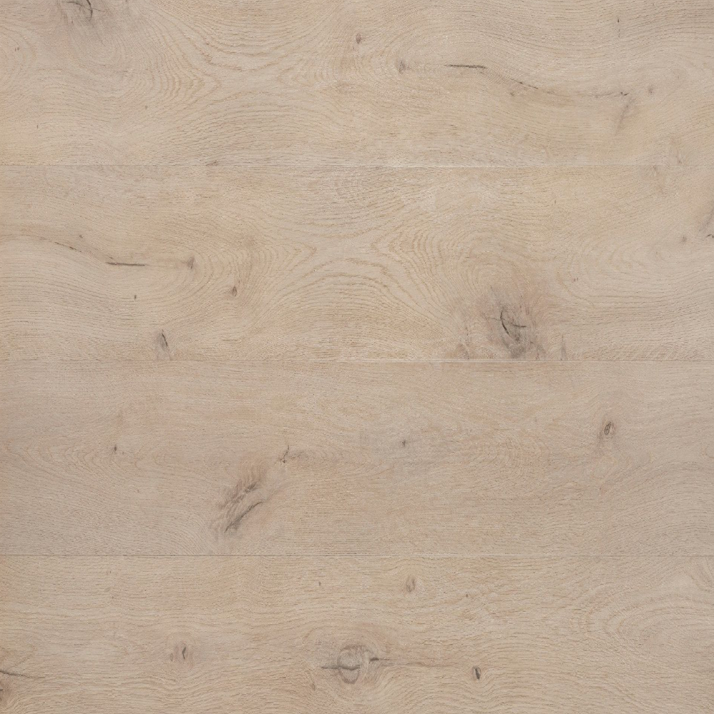 50LVP 806 Forest