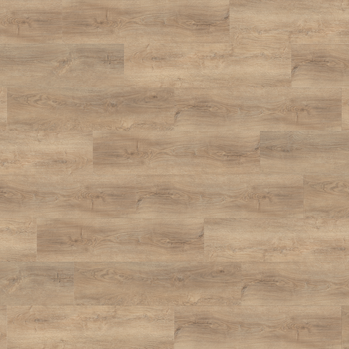 KPP SPC - Dub Genista 61909