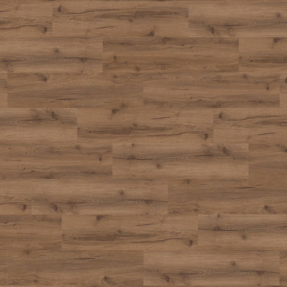 KPP SPC - Dub Pyrus 61917