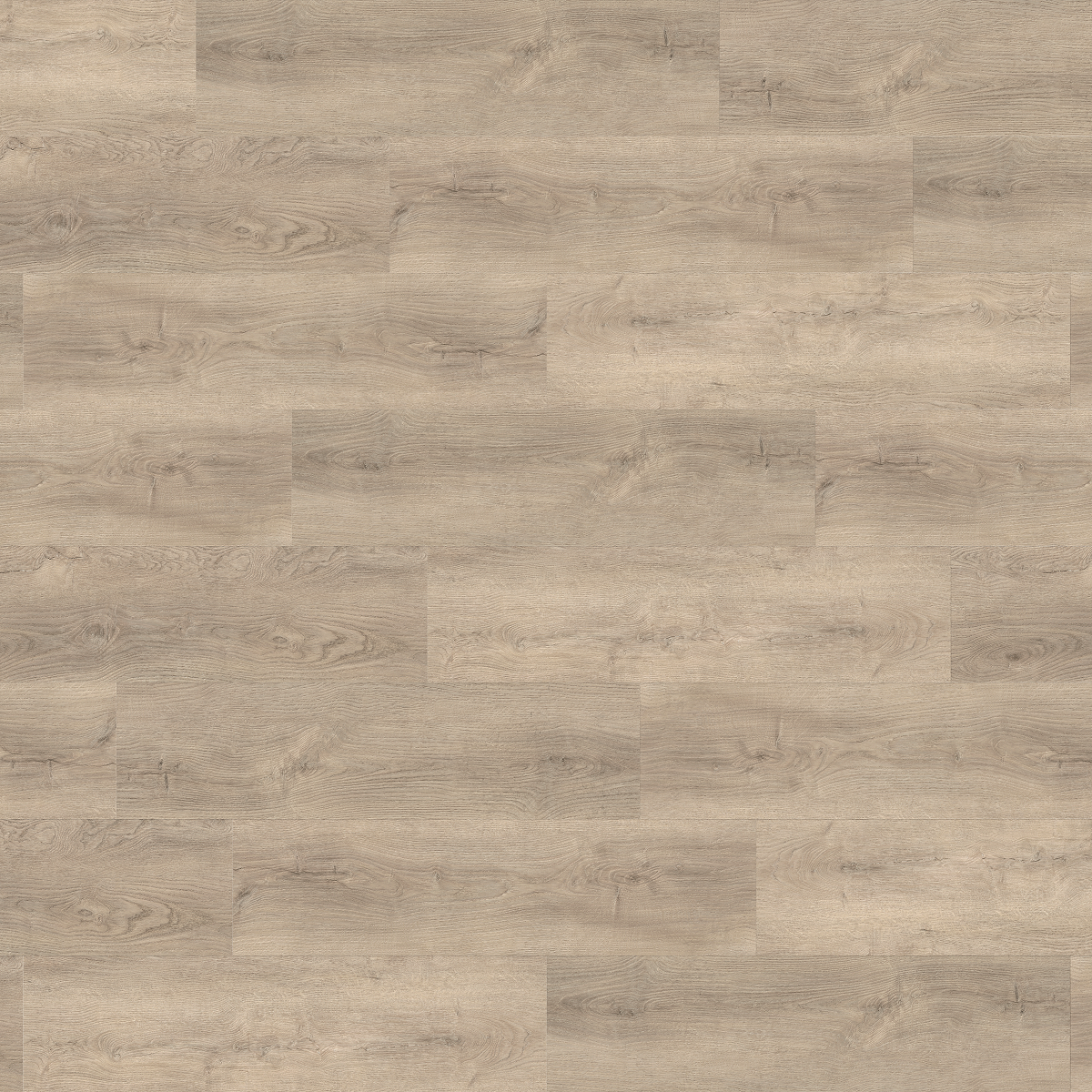 KPP SPC - Dub Toona 61910
