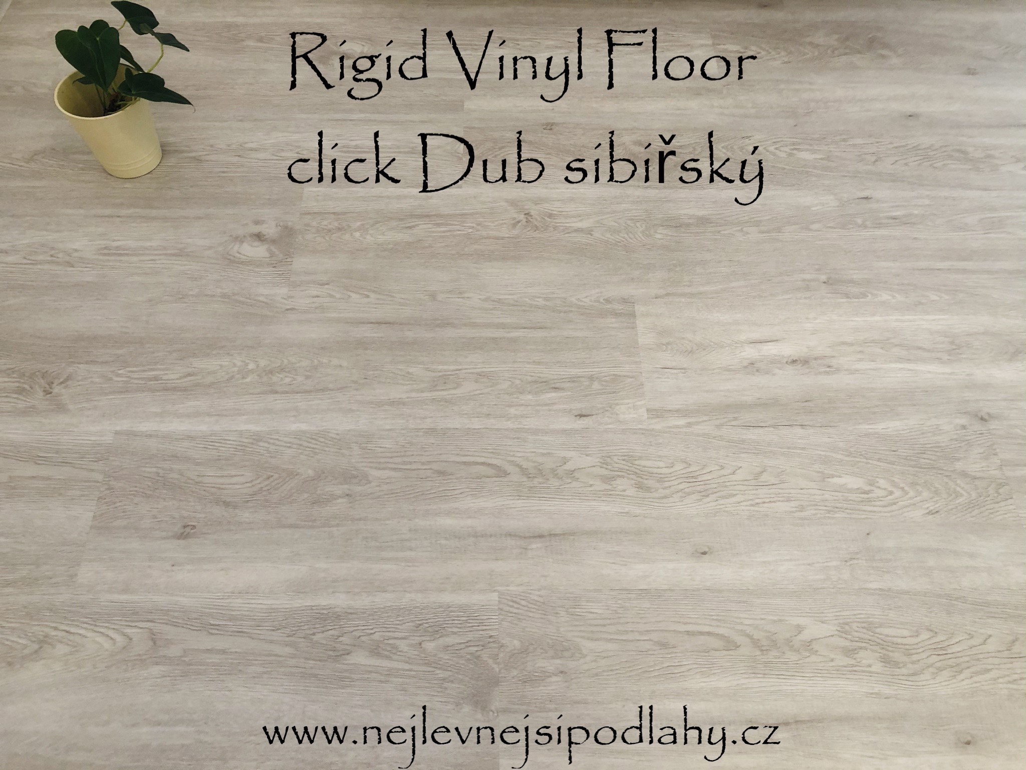 Rigid Vinyl Floor click Dub sibiřský
