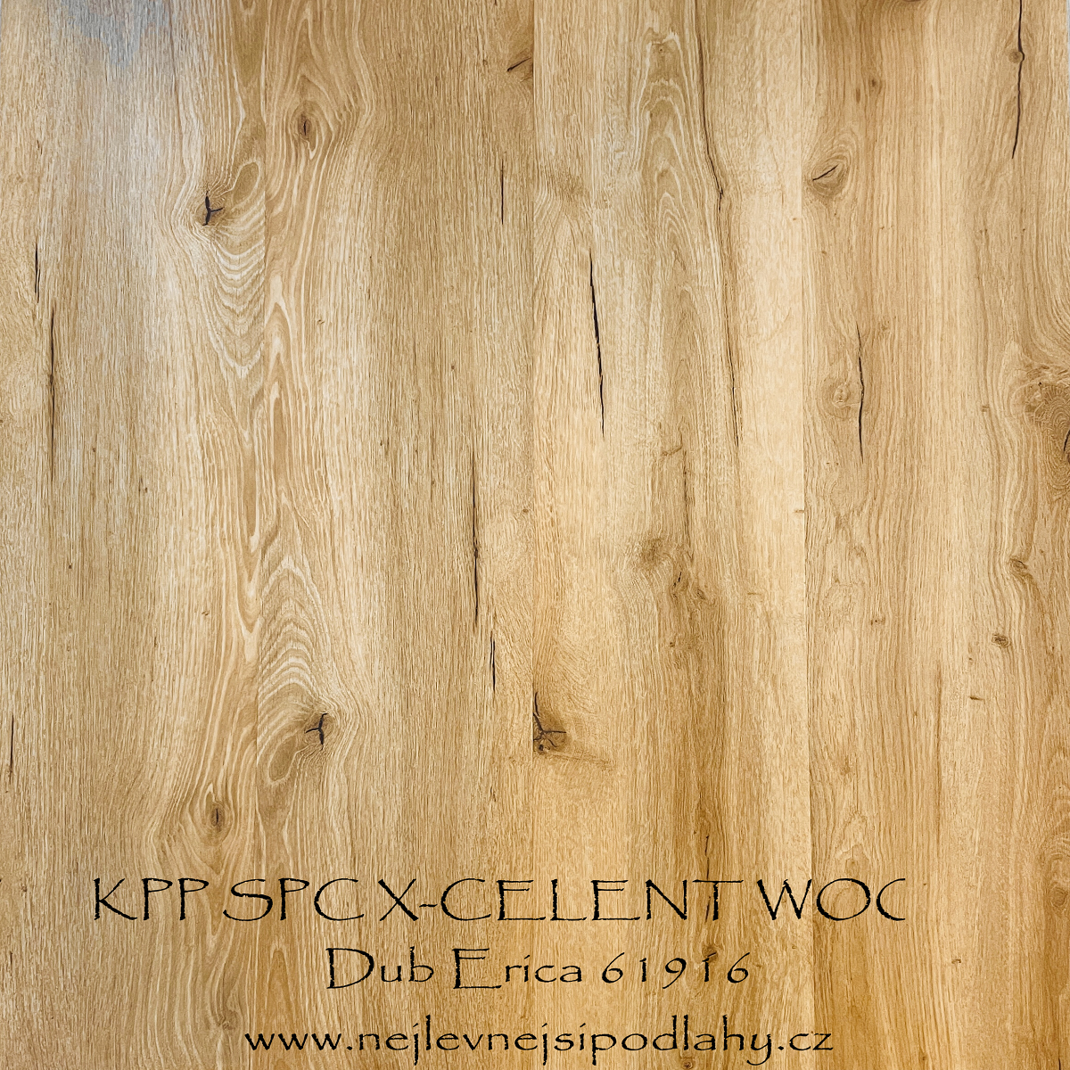 KPP SPC X-CELLENT WOOD - Dub Erica 61916