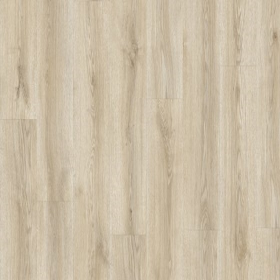 Euro Floor Forever Divino Dub Zeus 84224