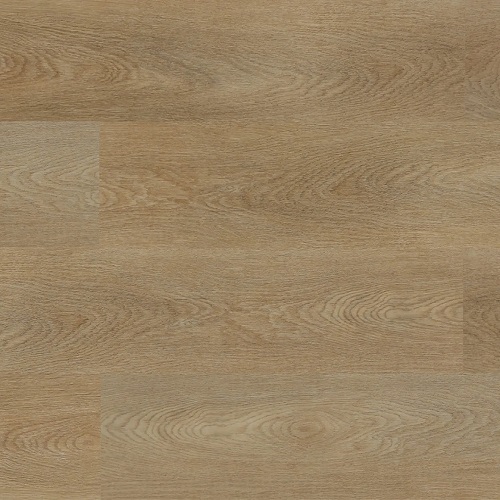 Experto Click SPC 30 Dub Tener 3033-011