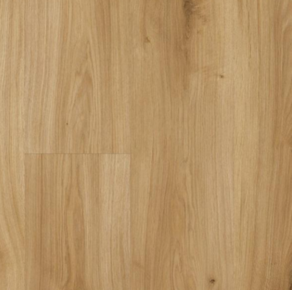 Parador Basic 400 Dub Horizont přírodní P1593813