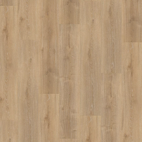 Parador SPC Basic 5.3 Dub Royal světle bělený P1743006