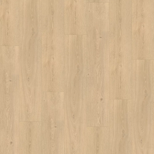 Parador SPC Basic 5.3 Dub Studioline broušený P1743008