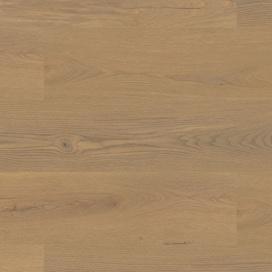 Authentic Oak Dub Papežský 3060