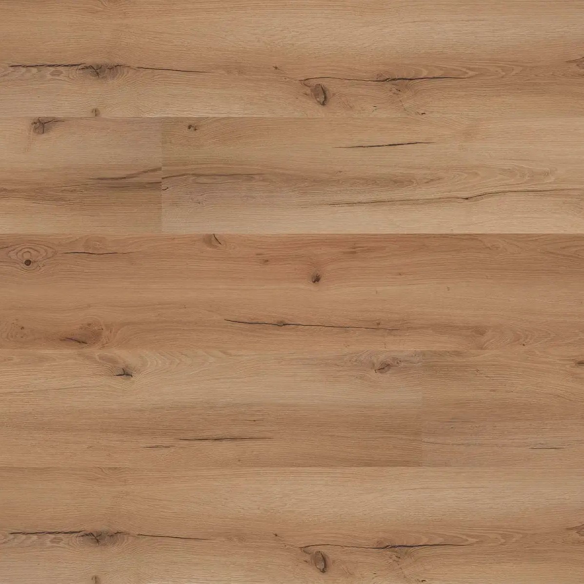 Grandissimo Plus Click Rigid 0