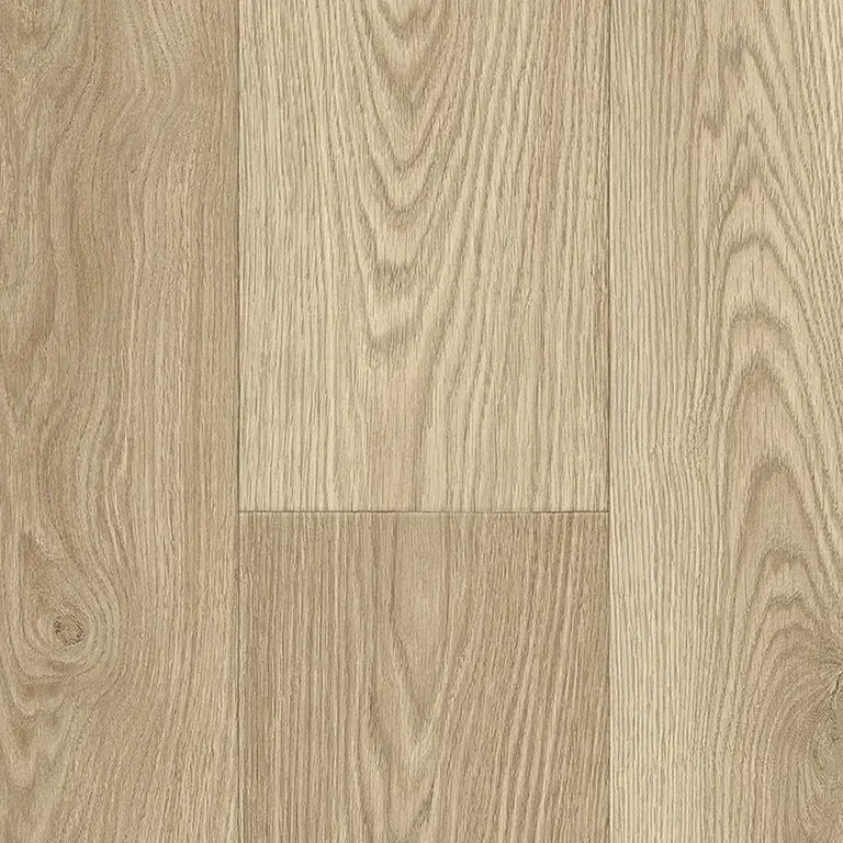 Whiteline Duke 538 - 4m