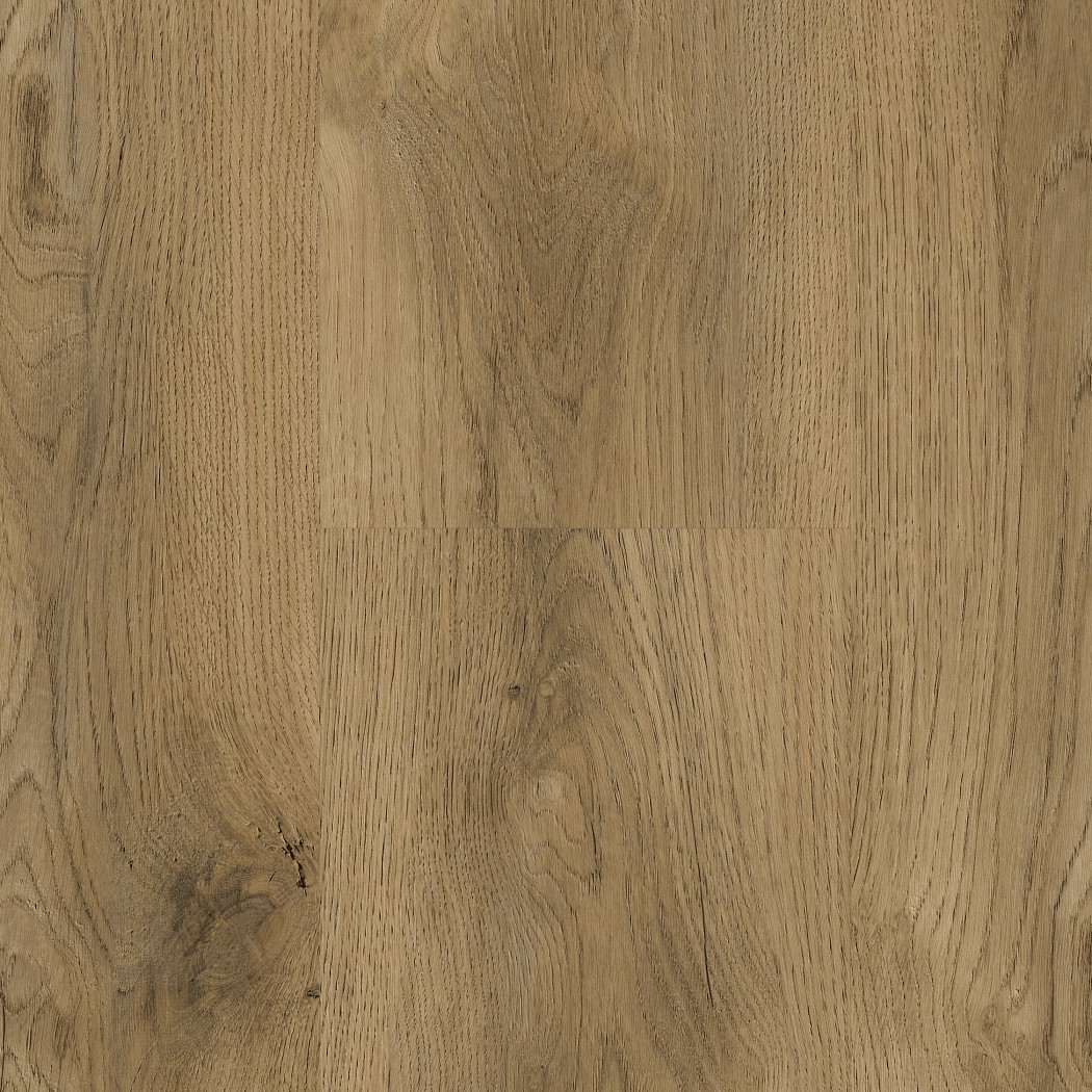 Zenith EPC Caldera 6